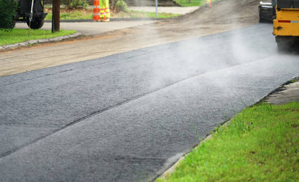Best Professional Driveway Pavers  in Pleasanton, TX